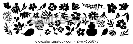 Set of flower and leaves silhouettes. Hand drawn floral design elements, icons, shapes. Wild and garden flowers, leaves black and white outline illustrations on white background.