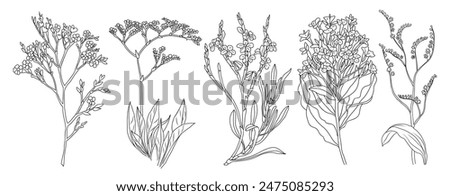 Similar – Image, Stock Photo sea of lavender flowers focused on one in the foreground. lavender field