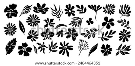 Set of flower and leaves silhouettes. Hand drawn floral design elements, icons, shapes. Wild and garden flowers, leaves black and white outline illustrations on white background.