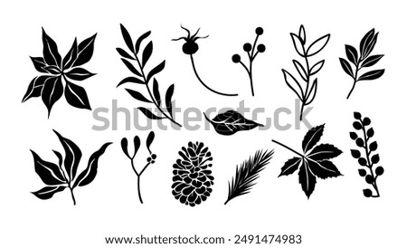 Set of Winter botanical silhouettes, twigs, berries, leaves, holly, poinsettia flower, plants, pine cone, fir tree branches. Christmas decor vector elements on white background. Hand drawn, not AI gen