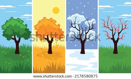 four seasons in one picture
