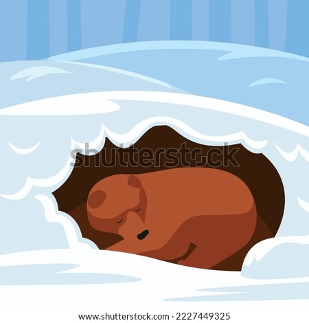 Bear hibernating in a den in winter