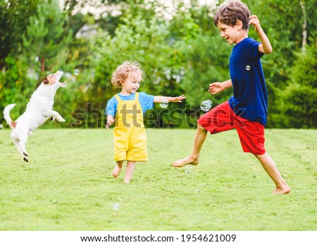 Children and family pet dog playing with funny soap bubbles on hot sunny summer day at backyard lawn Foto stock © 