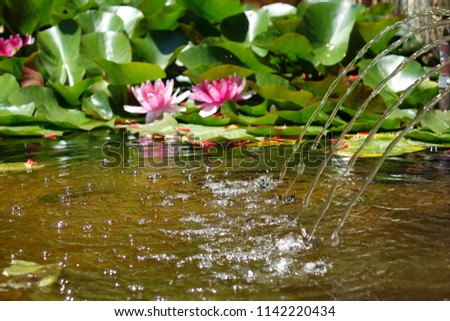 Botanical Garden