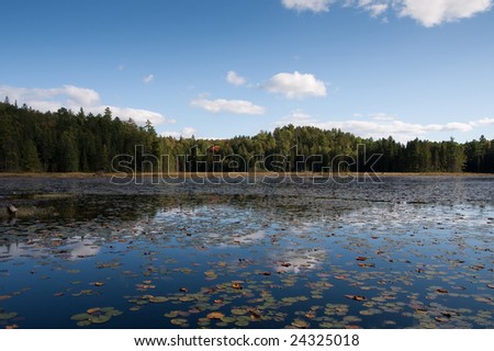 Lake at Algonquin Provincial Park