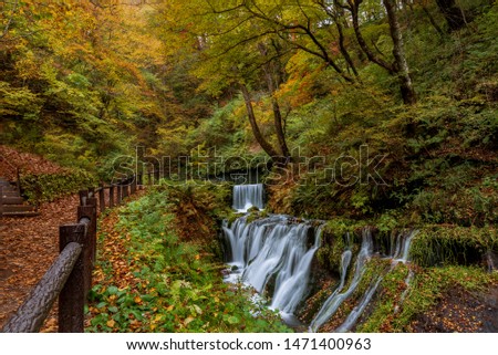 Shutterstock Puzzlepix