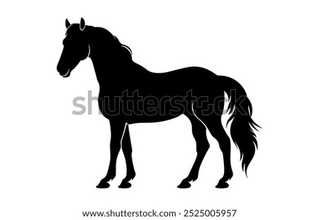 Similar – Image, Stock Photo horse silhouette in the meadow with a beautiful sunset background