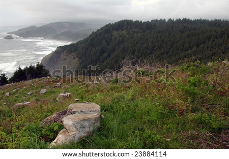Oregon Coast Oregon, USA