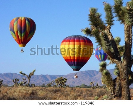 Hot Air Balloons over the Desert