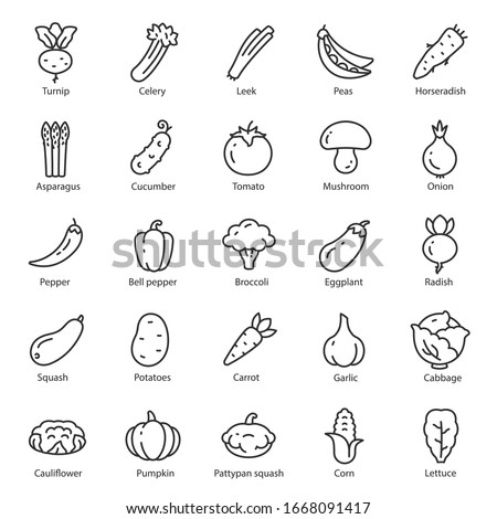 Vegetables, icon set. Salad ingredient, organic nutrition, linear icons. Line with editable stroke