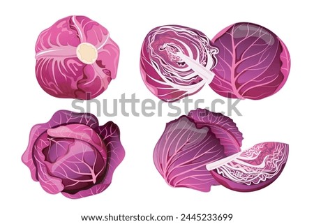 Red Cabbage whole and half purple cabbage