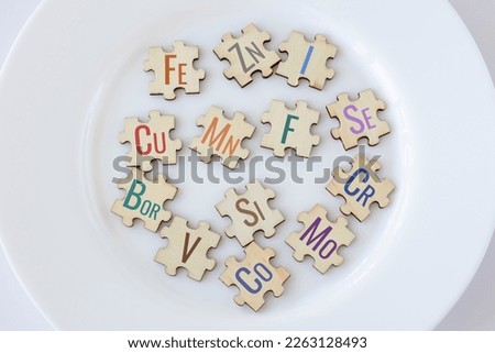 Set of puzzles on a plate with 13 essential micronutrients with multicolored inscriptions icons. Fe, Zn, I, Cu, Me, F, Se, Bor, Si, Cr, V, Co, Mo. Biologically important elements. The concept of Photo stock © 