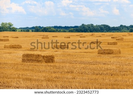 Similar – Foto Bild Ernte von Heu im Sommer. Der Mähdrescher einer landwirtschaftlichen Maschine sammelt reifes Gras auf dem Feld ein. Blick von oben.