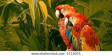 Pair of Macaw Parrots / Image from an original 11x24 illustration by Larry Jacobsen / AW-003.