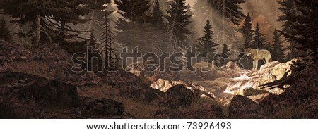 In a forest looking upstream at a wolf crossing a mountain stream.