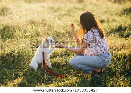 Similar – Image, Stock Photo White shepherd dog gets petted