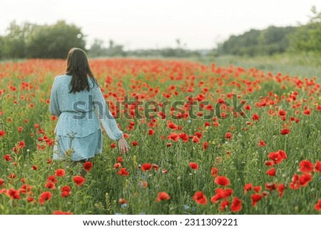 Similar – Image, Stock Photo summer evening harmony