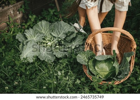 Similar – Image, Stock Photo Urban Gardening harvest fresh bio onions