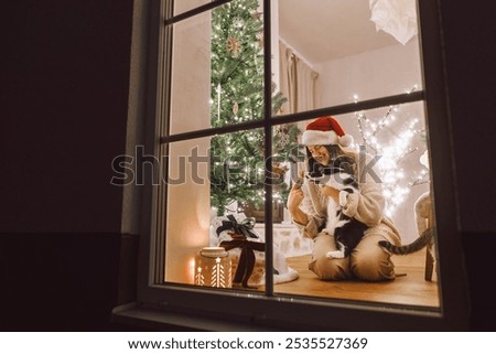 Similar – Image, Stock Photo cat inside a christmas gift box with lights