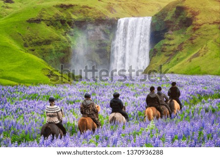 Similar – Image, Stock Photo Skogafoss waterfall in Iceland