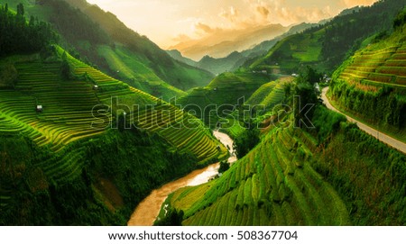 Similar – Foto Bild Reisfelder bei Sapa, Vietnam