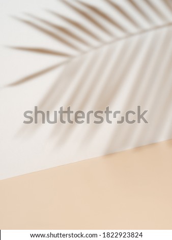 Palm leaf shadow on white wall and cream pastel floor. Abstract background of shadows palm leaf for creative summer minimal mock-up. Neutral tropical palm mockup on light backdrop.Geometric background