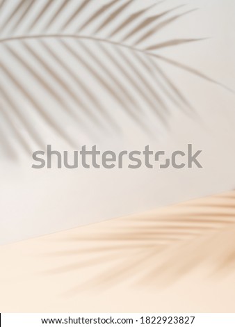 Palm leaf shadows on white wall and cream pastel floor. Abstract background of shadows palm leaves for creative summer mock-up. Neutral tropical palm mockup on light backdrop. Vertical