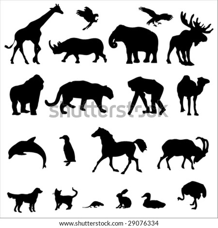 20 Animal Black Silhouette Vector Illustrations - 29076334 : Shutterstock