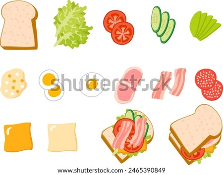 Vector illustration set of sandwich ingredients, finished sandwiches, and open sandwiches