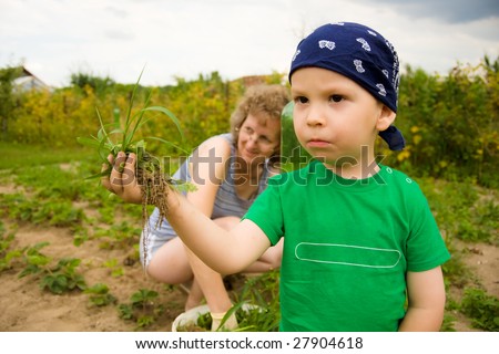 Little boy with grandmother weeding garden in hot, summer day.