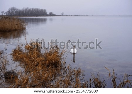 Similar – Image, Stock Photo Bay of Wismar