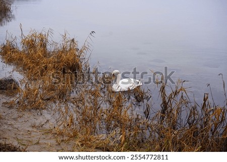 Similar – Image, Stock Photo Bay of Wismar