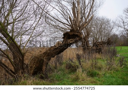 Similar – Image, Stock Photo Bay of Wismar