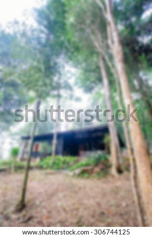 Blurred house in the forest with fog background