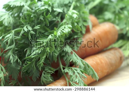 raw fresh organic carrot bunch on wood table for sale at market