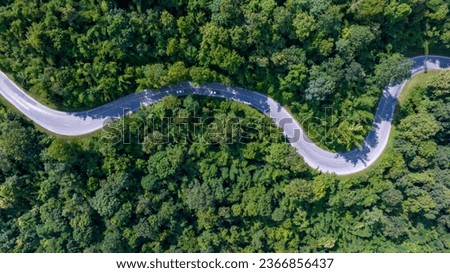 Similar – Image, Stock Photo Tree tops and road in nature