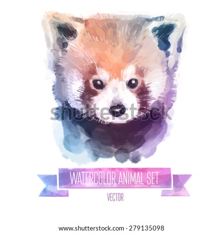 Vector set of animals. Red panda hand painted watercolor illustration isolated on white background