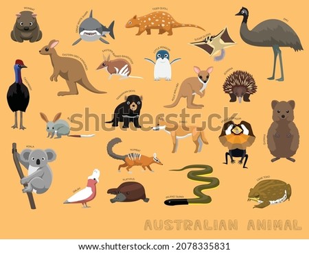 Cute Australian Animals Cartoon Vector Illustration Set Identify