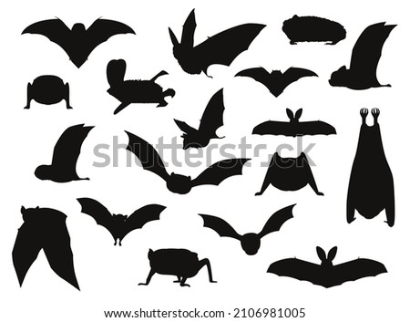 Various Bat Silhouettes Vector Illustration