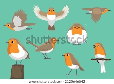 Animal Cartoon Bird Various Poses European Robin Vector Illustration Zdjęcia stock © 