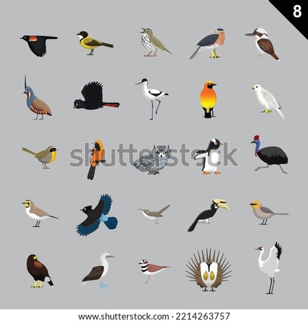 Various Birds Cartoon Vector Illustration 8