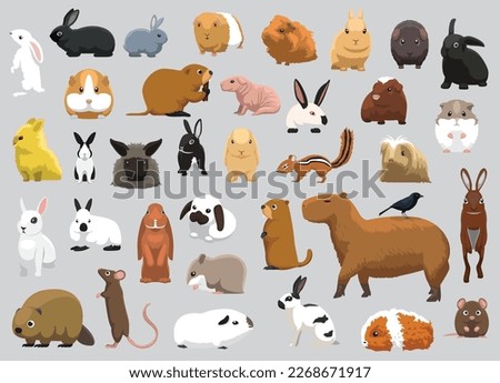 Animal Rodent Capybara Rabbit Hamster Guinea Pig Rat Characters Cartoon Vector