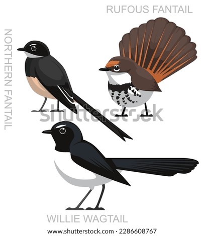 Cute Bird Australian Fantail Wagtail Set Cartoon Vector