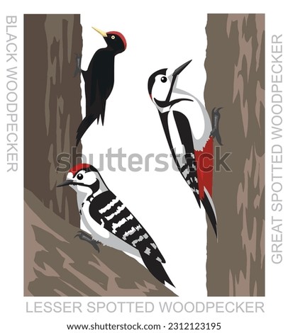 Similar – Image, Stock Photo Black Woodpecker on the moor