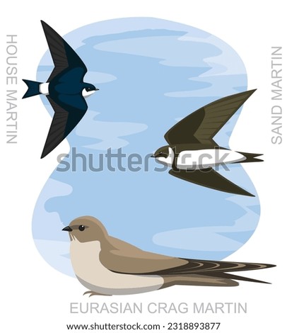 Cute Bird House Martin Swallow Set Cartoon Vector