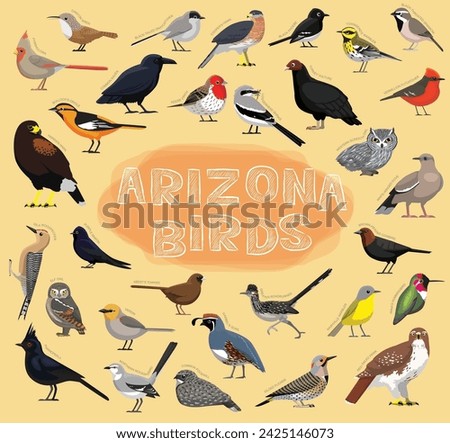 Birds Arizona Set Vector Illustration