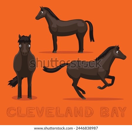 Horse Cleveland Bay Cartoon Vector Illustration