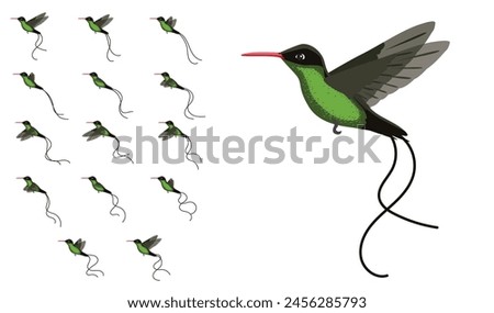 Bird Hummingbird Red-Billed Streamertail Flying Frame Animation Vector