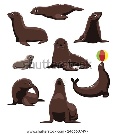 Seal California Sea Lion Poses Set Cartoon Vector