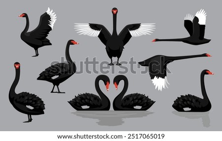 Black Swan Various Poses Cartoon Vector Character